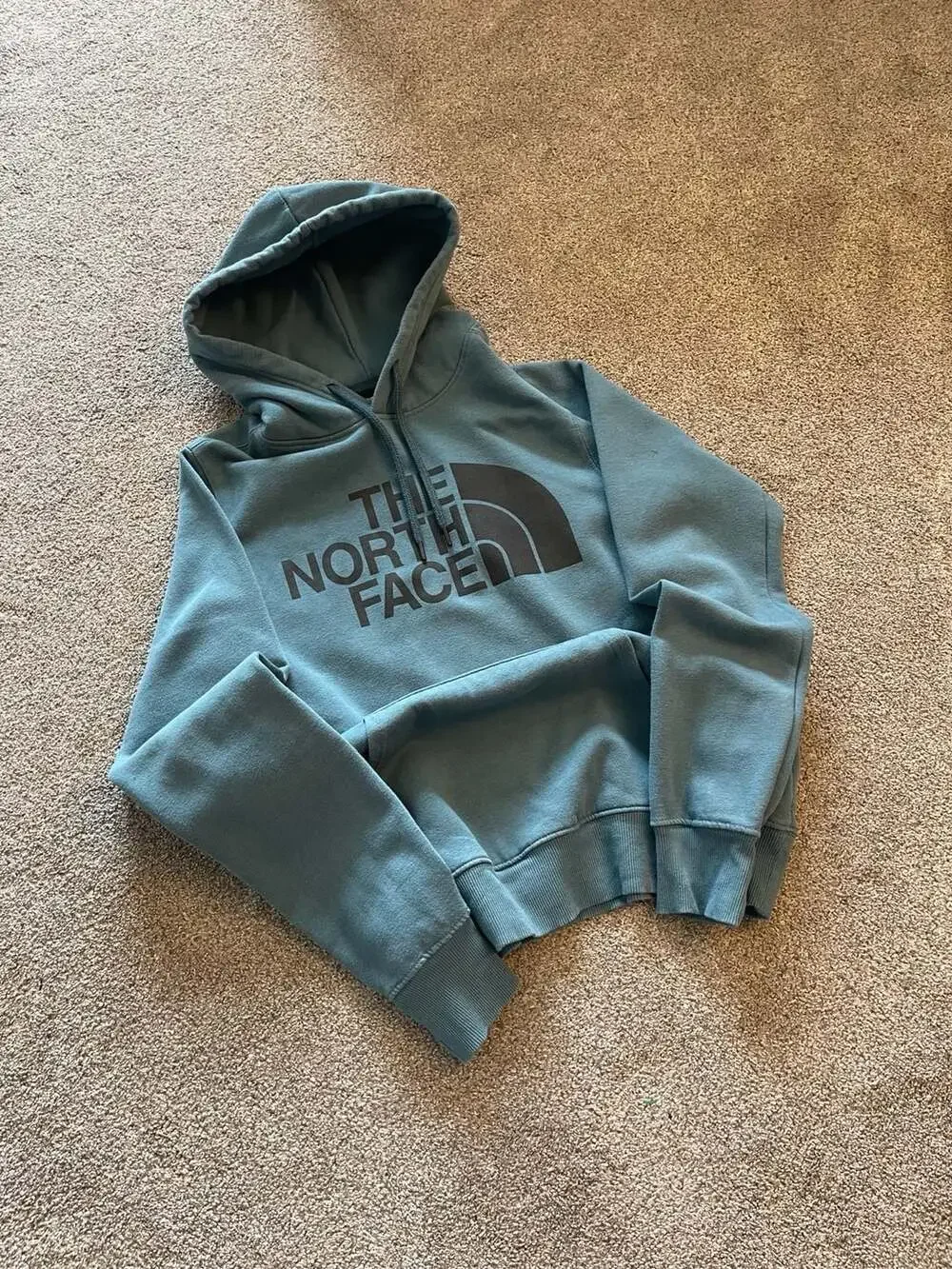 The North Face Half Dome Pullover Hoodie Men's Small Teal Blue
